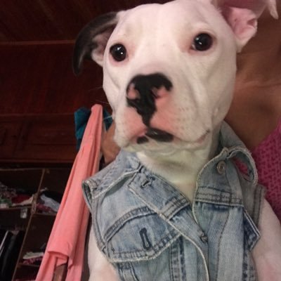 Alla_Aqui's profile picture. Soy estudiante de IX semestre de ingeniería de sistemas y computación en la universidad del Quindío. Me gustan los videojuegos, la música y la películas.