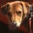 grourk's profile image