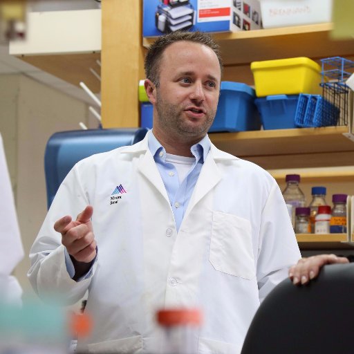 Kiraly Lab Profile