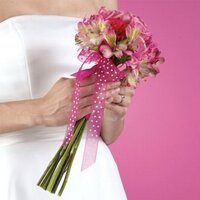 Bridal Solutions (@bridal_solution) 's Twitter Profile
