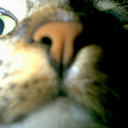 Lawrence Wolfe - @IAmFelixTheCat - Twitter