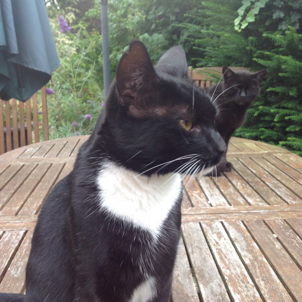 ForestPat1951's profile picture. Husband, father & long time NFFC fan. In favour of the UK rejoining the EU. Anti Farage & Anti Trump.