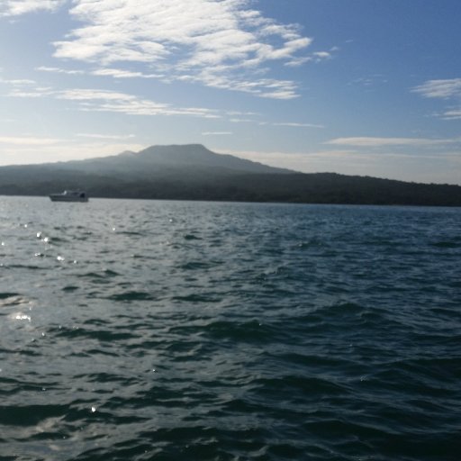 richard_veritas's profile picture. director