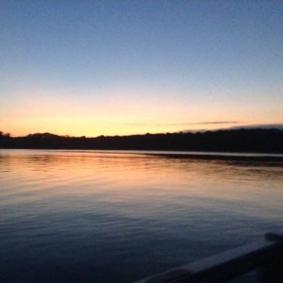 Protest2020's profile picture. 