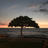 Andrew Bernstein (@_apb_) 's Twitter Profile