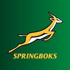 SpringboksFans's profile picture. Springbok rugby fan (Un-offical Fan Account)