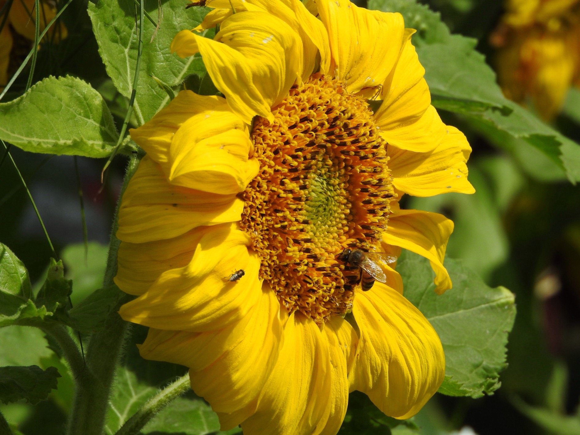 samumu1236's profile picture. 