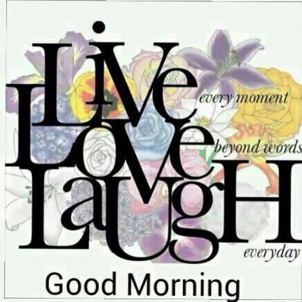 shriraamsss's profile picture. 