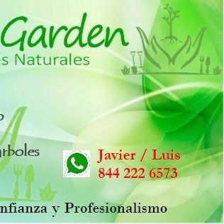 Mantenimiento de Áreas Verdes
Poda 
Fumigacion de plantas y arboles
Sistemas de Riego
844 222 6573