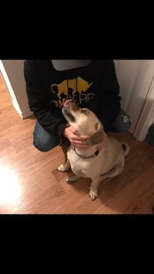 William_Cowan1's profile picture. Tweetsss