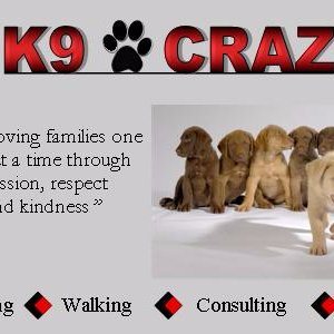 I have been in the Seattle region for 25 years actively training the dogs (and their people) of this beautiful area and making life long friends along the way.