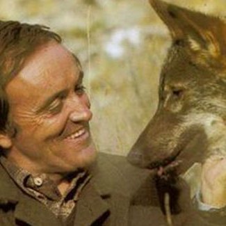 amigo_felix1's profile picture. Por si gustan saber un acerca de mi y mis actividades https://t.co/lcN1hfzvEf
https://t.co/VAHMFRF0AB