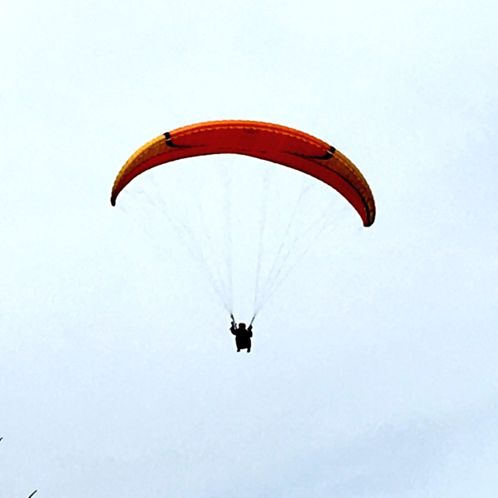 mario22zz's profile picture. 💯 followback. No dms 🚫 no groups 🚫 no lists 🚫