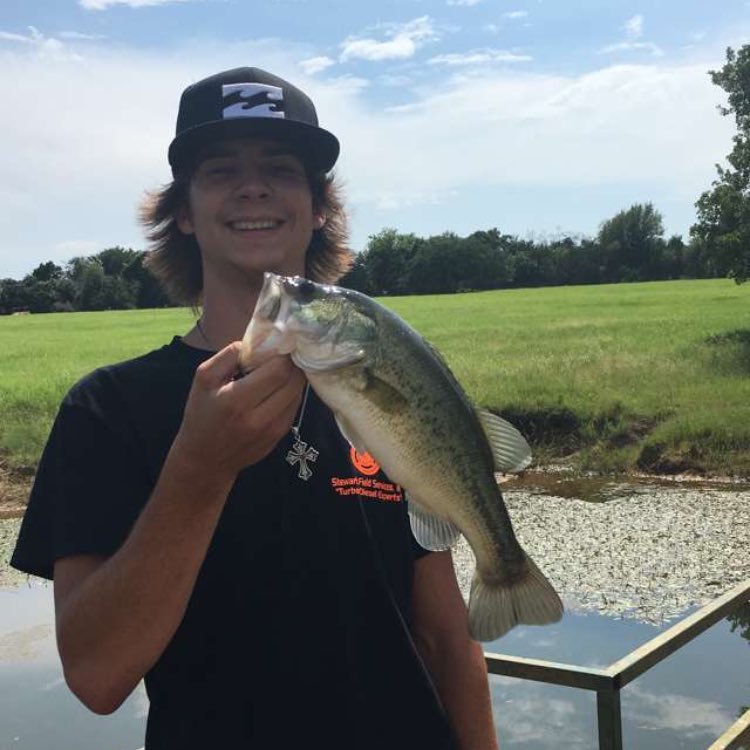 Brazoshard's profile picture. Tin Top, TX