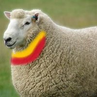 Othla (@othlaw) 's Twitter Profile Photo Othla (@othlaw) 's Twitter Profile Photo