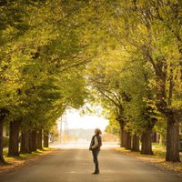 Greater Hamilton (@greaterhamilton) 's Twitter Profile