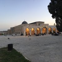 SALiH BAYLAN (@salih_baylan63) 's Twitter Profile Photo