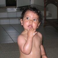 Steven Stein (@steinsf) 's Twitter Profile