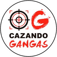 Cazando Gangas(@cazandogangas) 's Twitter Profile Photo