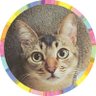 onenyans's profile picture. ４にゃんと暮らしています♪

🐱まろ♂キジ白︰2009.8.15〜 

🐱しまちゃん♂サバトラ︰2018.7.24〜

🐱あずき♀キジ白︰2014.7.6〜

🐱きなこ♀アビ風︰2016.9.11〜

🐾

🐱ごま♂白黒︰2010.9.22〜2022.12.12

🐶もも♀黒柴︰1999〜2015.724
