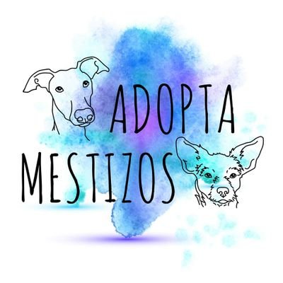 Asociación de #Sevilla y #Córdoba (España) dedicada al #rescate, rehabilitación y #adopción de #perros y #gatos.
Contacto: https://t.co/UiW8BVPAZU