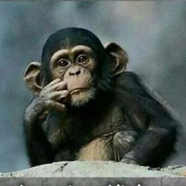 Garagenbar's profile picture. 