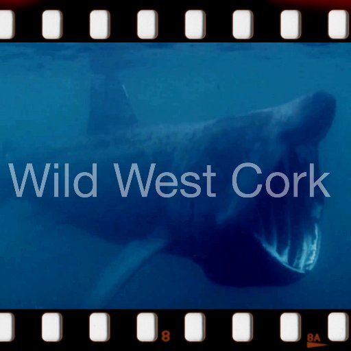 Wild West Cork