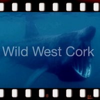 Wild West Cork(@WildWestCork) 's Twitter Profile Photo