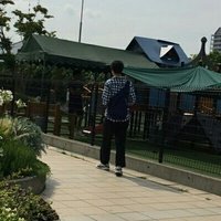 Shimata Riito(島多 璃音) (@lied_shimata) 's Twitter Profile