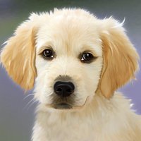 Pets Principle (@petsprinciple) 's Twitter Profile