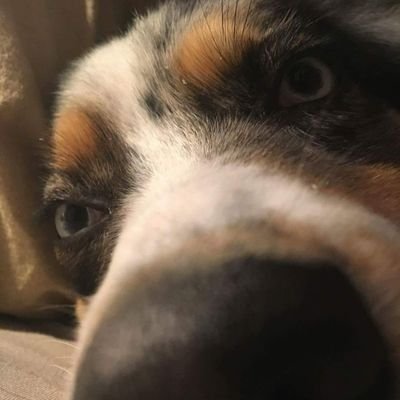 Kevin18746524's profile picture. 