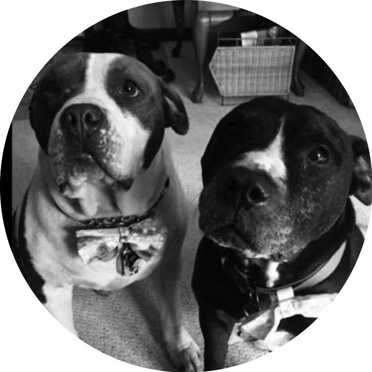 Dog. i do dog stuff.#LECLAX #redsox #Billsmafia #RAGEON official Alpha Dog of Lake Erie Storm Mens Lax slow tweeter im a dog,no thumbs #Hamburgbulldogs