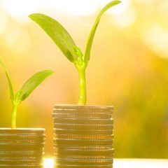 Wealth is the ability to fully experience life. -- Henry David Thoreau | Get FREE Debt Consolidation Quote! (https://t.co/xYivYejlAQ )