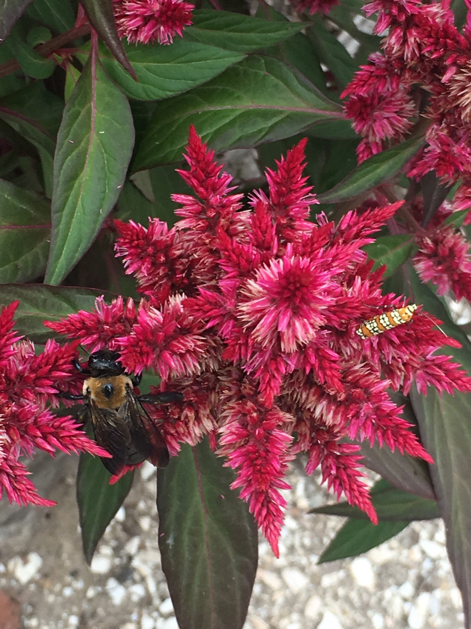 CurateYourMind's profile picture. 