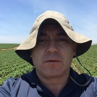 Cristian 🇲🇽🇨🇱 (@agrochamorro) 's Twitter Profile
