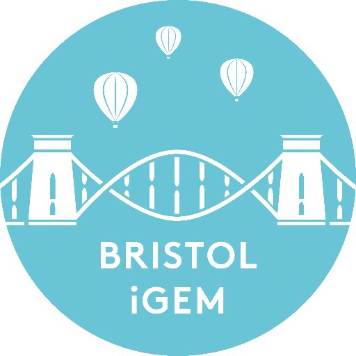 BristolIgem's profile picture. Bristol iGEM 2017                      bristoligem@gmail.com