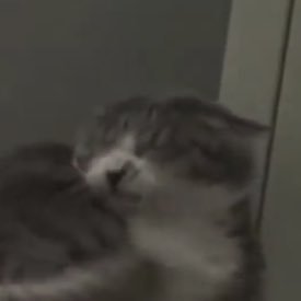 yuuuuuuun_02's profile picture. だいしょうだい ゆーすほすてる いっかいせい 無言フォローすみません〜〜🙈