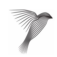 Meridian Bird Removal(@MeridianBird) 's Twitter Profile Photo