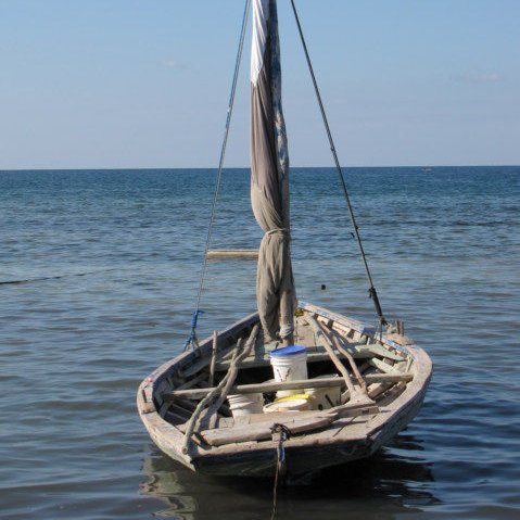 BPoeple's profile picture. I Have A Dream #BoatPeople 🚣⛵️