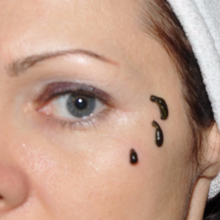 BiofabLeechUA's profile picture. 