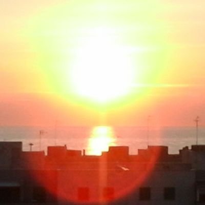 Paola94651164's profile picture. 