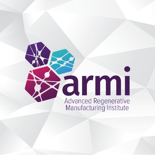 armi_usa Profile Picture