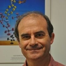 Professor of Genetics. Interested in Evolutionary Biology, Population Genomics and Bioinformatics