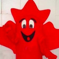 PollsSeaholm's profile picture. Hear the forest fear the forest