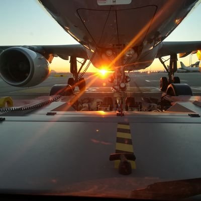 Danisimogm's profile picture. 