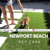 Michelle(@newportpetcare) 's Twitter Profile Photo