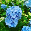 えり (@1968Eri) Twitter