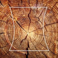 ModernRusticStore (@modrusstore) 's Twitter Profile