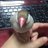 あこるとのアイコン