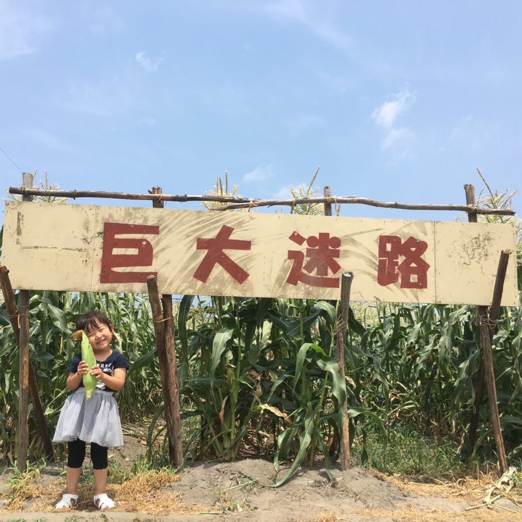 山梨県でいちごの観光農園しています。品種は章姫をメインに紅ほっぺ、かおり野、かなみ姫、よつぼし、エンジェルエイトを栽培してます。30a。